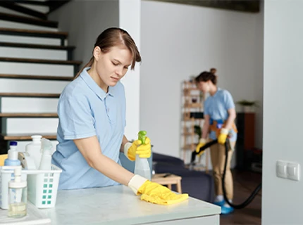 Domestic Cleaning Services